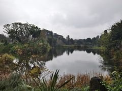 -墨尔本皇家植物园