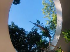 -深圳仙湖植物园