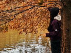 -上海海湾国家森林公园