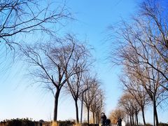 -天津东丽湖风景区