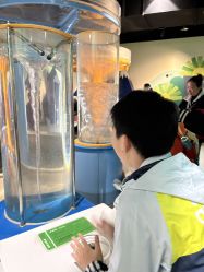 -北京科学中心儿童乐园