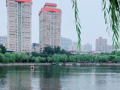 -文瀛公园