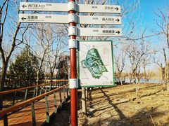 -东郊湿地公园
