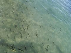 -青海湖二郎剑景区