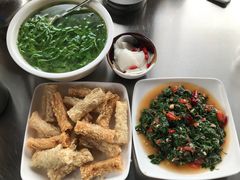 -晓雯人家