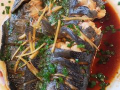 -生态苑农庄(十里画廊遇龙河店)