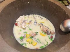-鲜潭蒸汽石锅鱼(万象前海店)