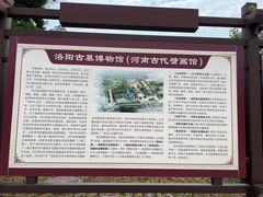 -洛阳古墓博物馆