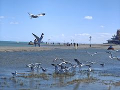 -青海湖国家重点风景名胜区