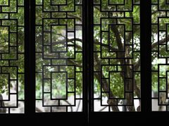 -上海醉白池公园