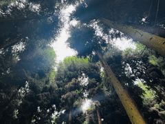 -太阳湾风景区