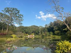 -云溪植物园