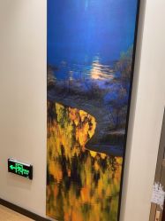 -北京米扬丽格医疗美容·联合丽格鼻整形中心