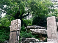 android_upload_pic-景山公园