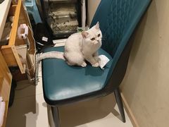 -筋骨堂热敷推拿按摩(翠华路店)