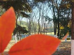 -长春世界雕塑园冰雪艺术天地