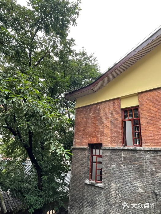 陈有良尖椒鸡(渝中旗舰店)图片