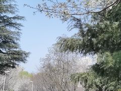 -白塘生态植物园