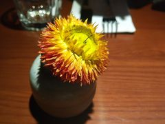 -鹿萤季·营地小馆(皇后公园店)