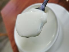 正宗姜撞奶-沙湾甜品(升平街店)