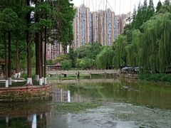 -温江公园