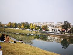 -两河城市森林公园