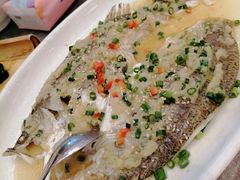 -新世纪大酒楼·30年南海菜