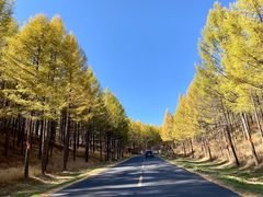 -塞罕坝国家级自然保护区