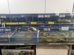 -舟山小海鲜大排档(稻香新村店)