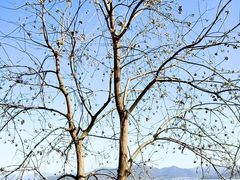 -东钱湖小普陀景区