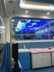 -鲸鱼堡亲子恒温泳池游泳俱乐部(彰泰天街店)