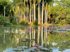 -中国科学院西双版纳热带植物园