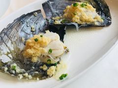 蒜茸粉丝油带子-新海利海鲜城·41年珠海老字号(夏湾店)