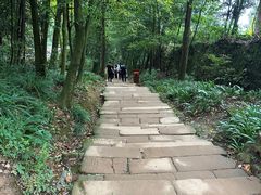 -青城山
