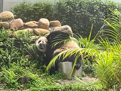 -石排湾郊野公园