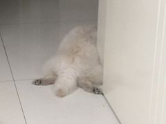-上海动漫博物馆