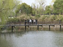 -野生动物园-停车场
