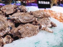 -韩京炭火烤肉自助料理(柯桥万达店)
