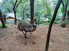 -昆明动物园