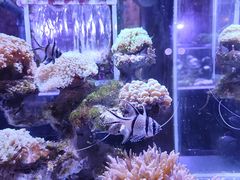 -海合安青岛极地海洋公园