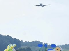 -空港花田景区
