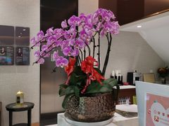 -TSK齿科德申会口腔门诊·联洋诊所