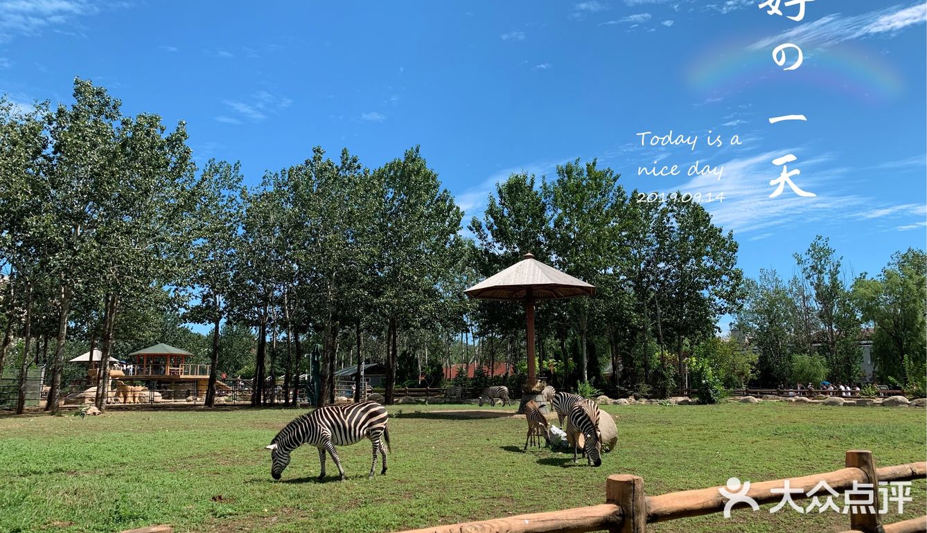 永遠逛不完的大連森林動物園春天秋天尤其適合來