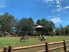 -大连森林动物园