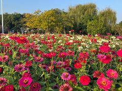 -武汉园博园(武汉自然博物馆)