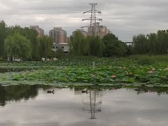 -太阳宫公园