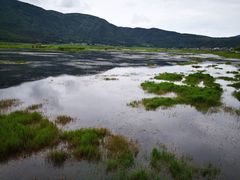 景点-腾冲北海湿地