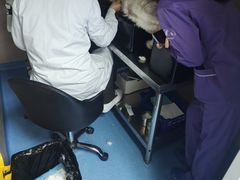 -恒幸动物医院·急重症转诊中心·神经内外科·CT核磁
