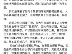 -中环花鸟鱼虫市场