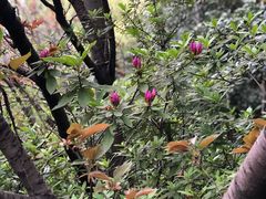 -上海市龙华烈士陵园